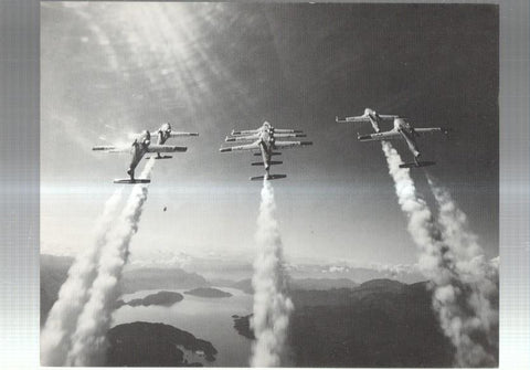 Lamina aviacion numerada 4 en trasera: The Snow Birds en exibicion en Canada