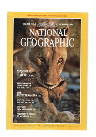 National Geographic, vol. 162 num. 06. december 1982:  Family life of Lions-