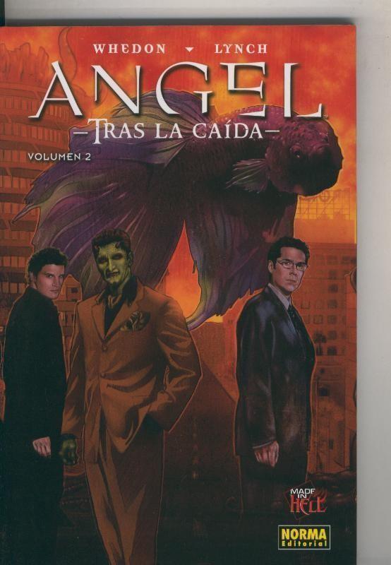 Coleccion Made in Hell numero 087: Angel: Tras la caida numero 2