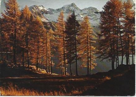 POSTAL L02234: Piz de la Margna