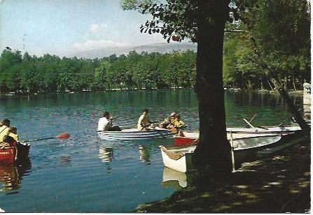 POSTAL L02313: Vista del lago de Puigcerda