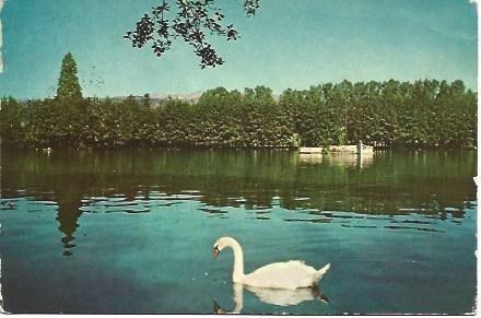 POSTAL L02281: El lago de Puigcerda