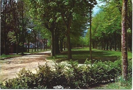 POSTAL L02499: Avenida Maristany de Camprodon