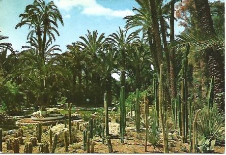 POSTAL L02598: Elche. Huerto del Cura