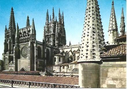 POSTAL L02604: Burgos. Detalle de la catedral