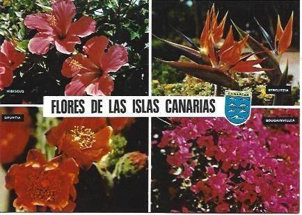 POSTAL L02566: Flores de las Islas Canarias