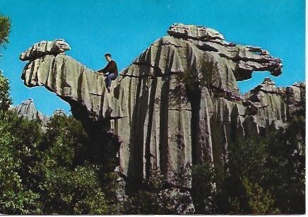 POSTAL L02568: El Camell en el Santuario de Lluc de Mallorca