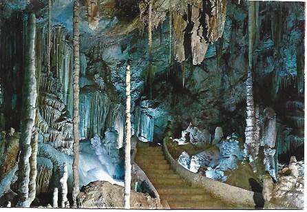 POSTAL L02577: Sala de la Palmera en las Cuevas de Campanet