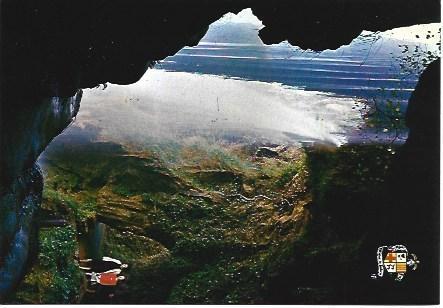 POSTAL L02356: Bajo la cascada de Sant Miquel del Fai