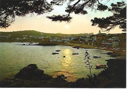 POSTAL L01727: Vista general de Calella de Palafrugell