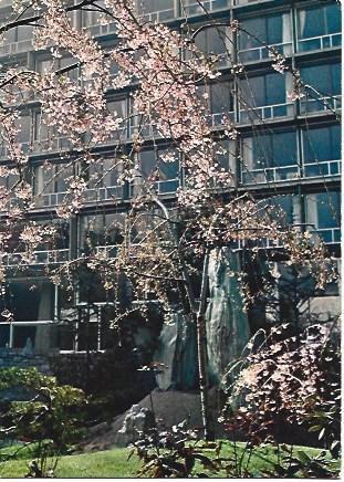 POSTAL L01684: Jardin Japones de la UNESCO