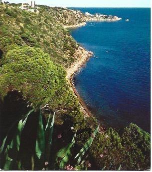 POSTAL L01692: Vista aerea de la playa de Sant Feliu de Guixols
