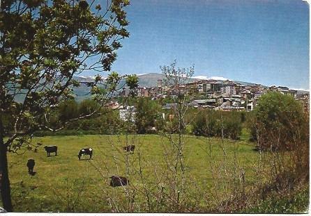 POSTAL L01794: Vista general de Puigcerda