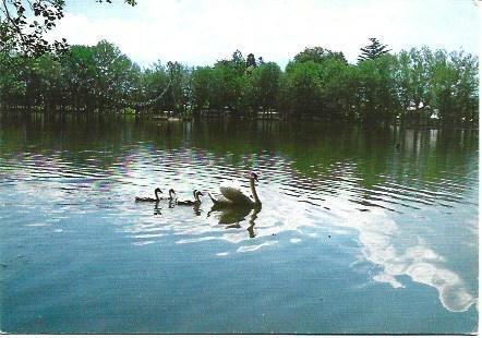 POSTAL L01741: Lago de Puigcerda