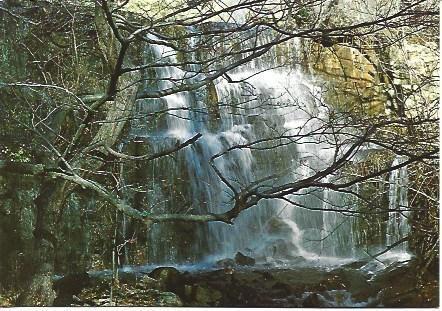 POSTAL L01757: Cascada en Santa Fe del Montseny