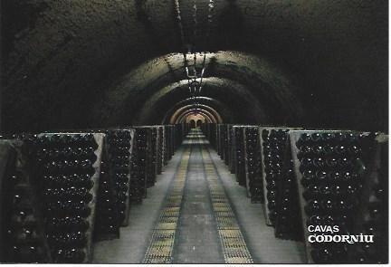 POSTAL PUBLICITARIA L01966: Cavas Codorniu. Interior