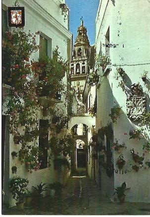 POSTAL L02047: Calleja de las Flores en Cordoba
