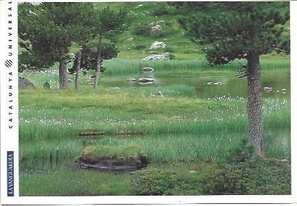 POSTAL L02037: Parque de Aigues Mortes en primavera