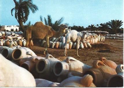 POSTAL L01829: Camellos en la isla de Djerba. Tunez