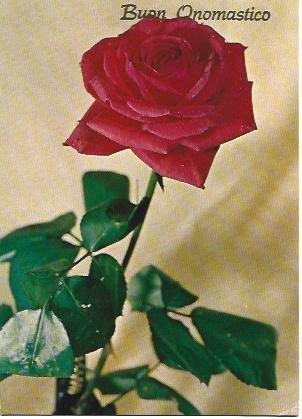 POSTAL L01873: Felicitacion con rosa roja