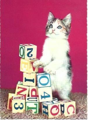 POSTAL L01878: Gato