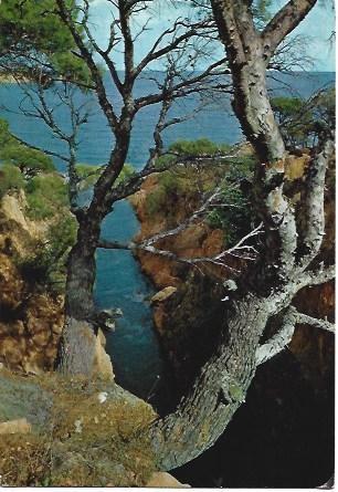 POSTAL L01884: Detalle de la costa de Sant Feliu de Guixols