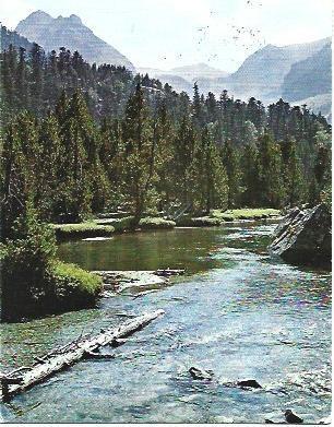 POSTAL L01886: Rincon del Parque Natural de Aigues Tortes