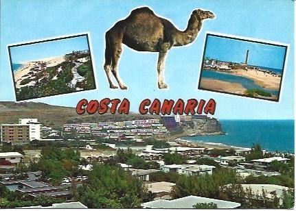 POSTAL L03280: Costa Canaria