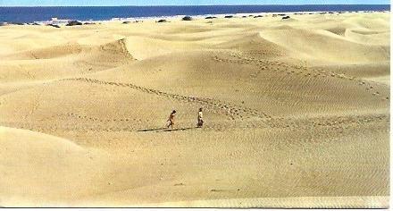 POSTAL L03171: Vista parcial de la playa del Ingles en Canarias