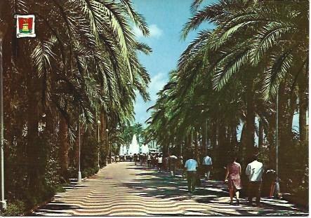POSTAL L03134: Explanada de España en Alicante