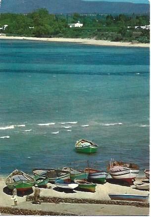 POSTAL L03227: Balneario en Hammamet, Tunez
