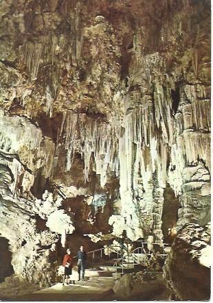 POSTAL L03193: Sala de los Fantasmas en las Cuevas de Nerja