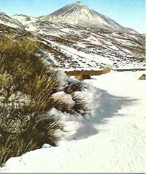 POSTAL L03197: Tenerife. El Teide