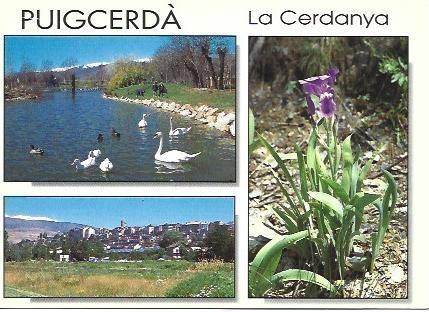 POSTAL L03509: Vistas de Puigcerda