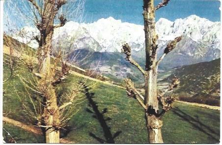 POSTAL L03368: Vista de los Picos de Europa