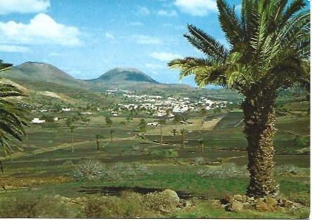 POSTAL L03377: Valle de las Palmeras en Haria, Lanzarote
