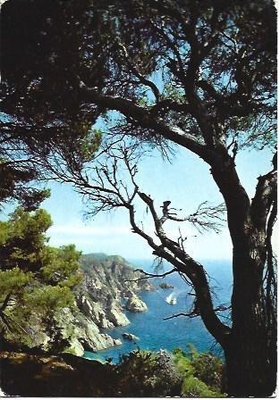 POSTAL L02832: Sa Cova en Lloret de Mar