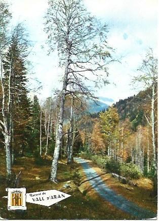 POSTAL L02822: Paisaje de la Vall d'Aran