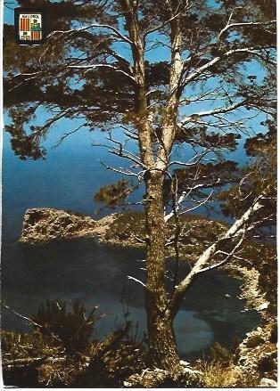 POSTAL L02738: Mallorca. Foradada de Valldemosa