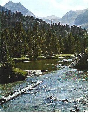 POSTAL L02646: Rincon del Parque Nacional de Aigues Tortes
