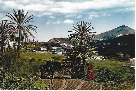 POSTAL L03085: Alrededores del Monte Lentiscal en Gran Canaria