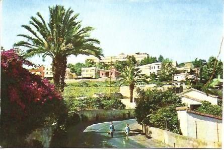 POSTAL L03087: Vista parcial de Santa Brigida en Las Palmas de Gran Canaria