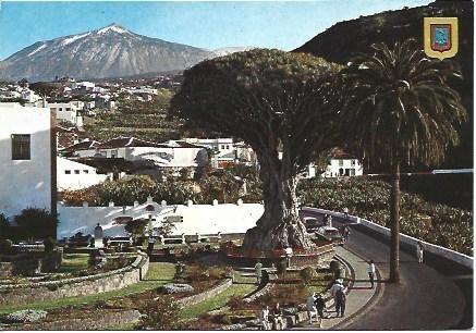 POSTAL L03056: El Drago milenario en Tenerife
