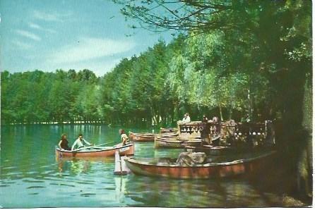 POSTAL L02892: Puigcerda. El lago