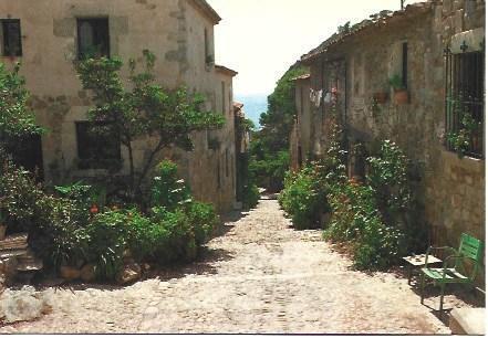 POSTAL L02877: Calle de Tossa de Mar