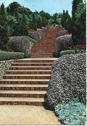 POSTAL L02969: Detalle del Jardin Botanico de Blanes