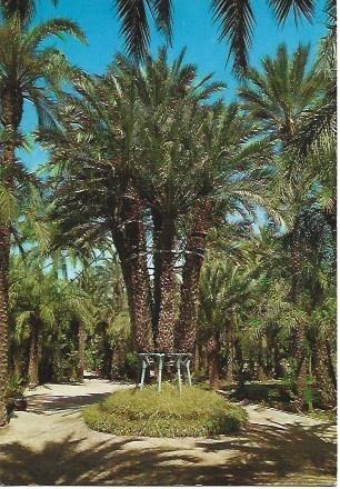 POSTAL L02942: Palmera en el Huerto del Cura en Elche