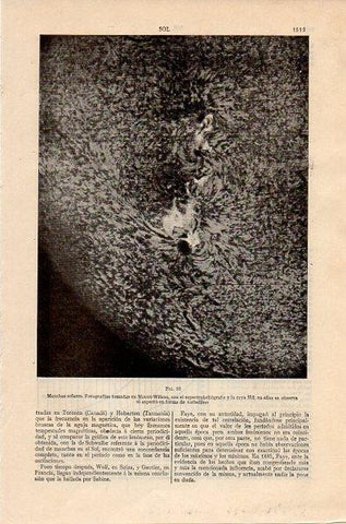 LAMINA V10564: Manchas solares fotografiadas desde el Mount-Wilson