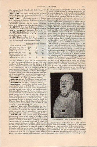 LAMINA V10541: Busto de Socrates