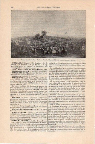 LAMINA V10426: Un simulacro de combate, por Van der Meulen